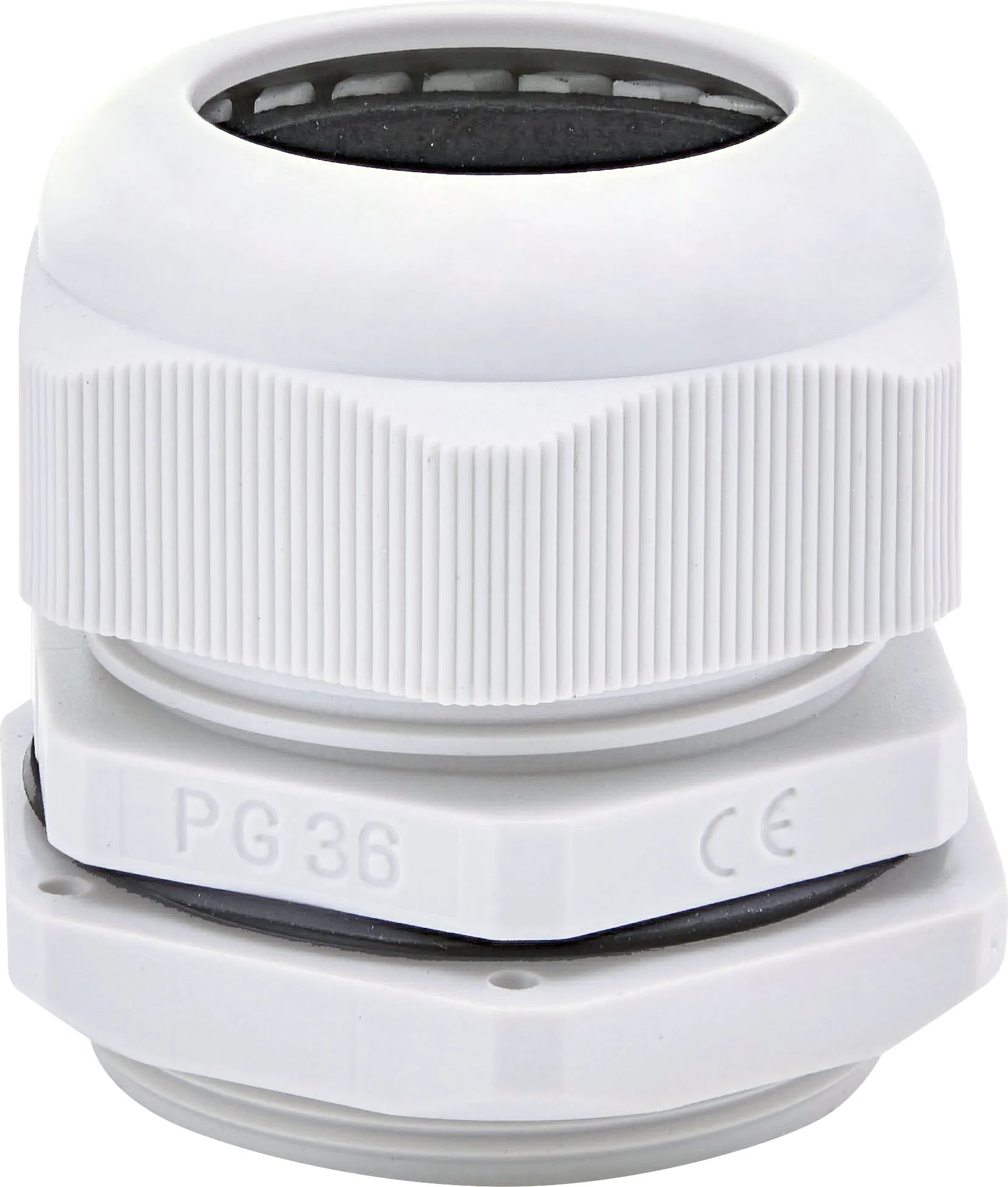 Uvodnica PG-36 001102648